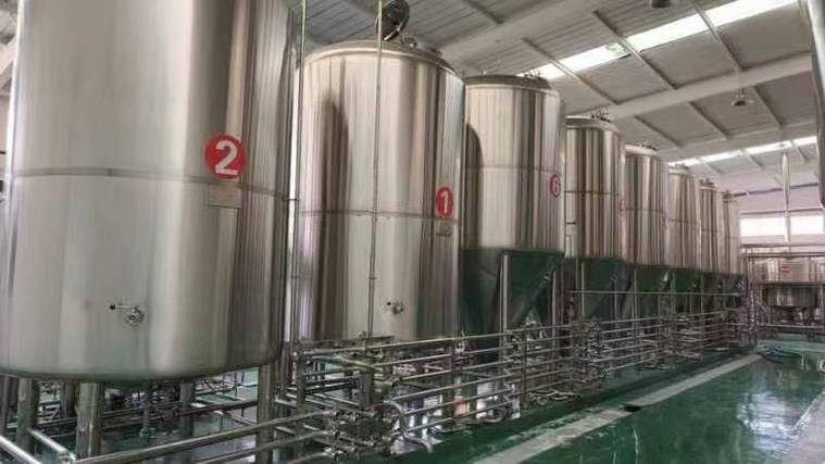 鹿邑日产10吨精酿啤酒设备多少钱？2026年全套报价帮你算明白